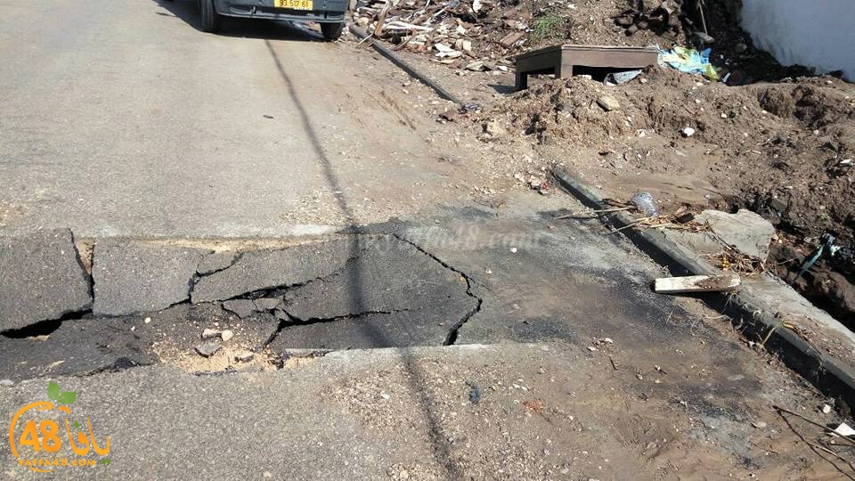 lud shaware3 (4).jpg